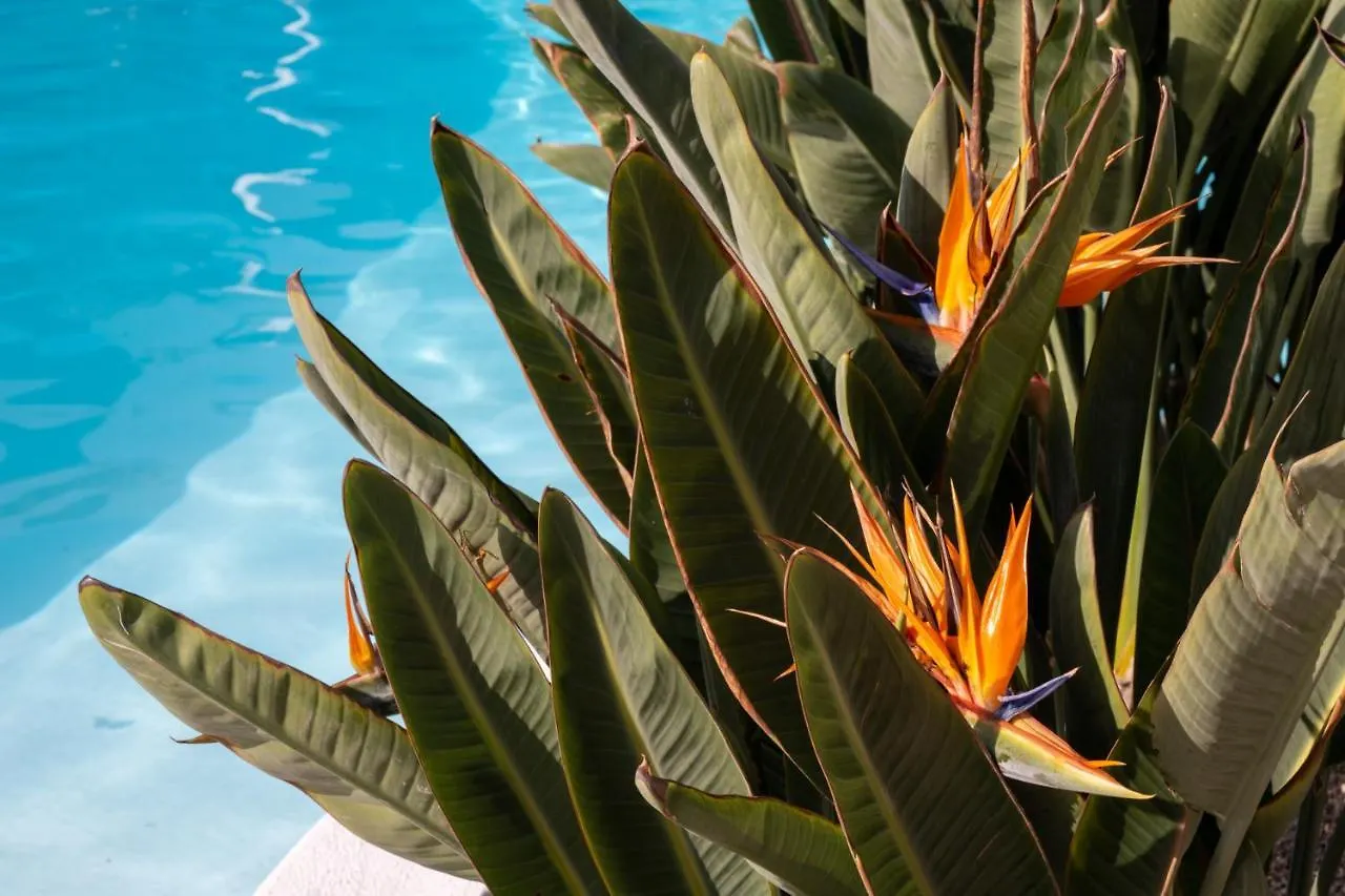 Hotel Nazaret Mansion Costa Teguise 3*,  Spanien